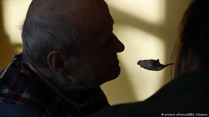 Przed pandemią średni czas pracy opiekunki wynosił 11 godzin dziennie