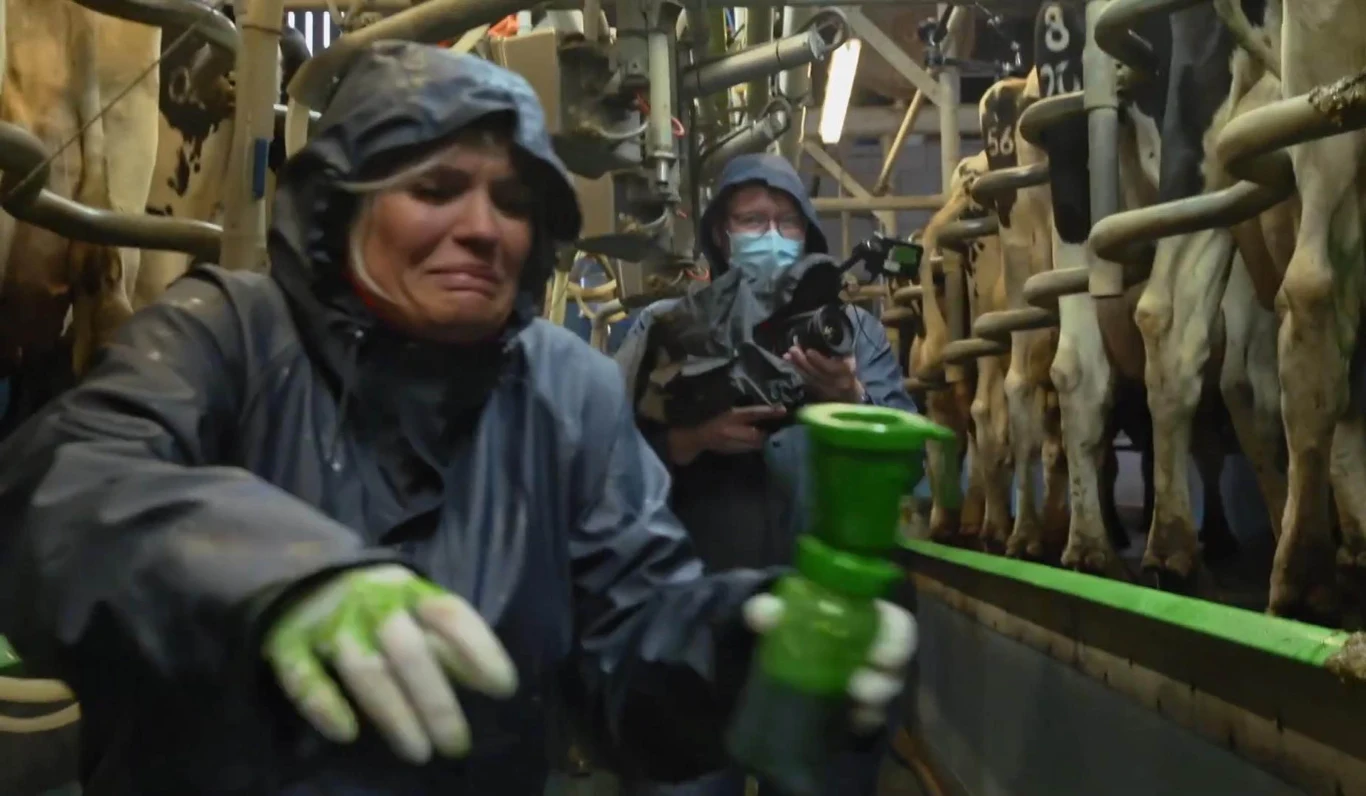 Kerry Katona w programie "Celebs on the farm"