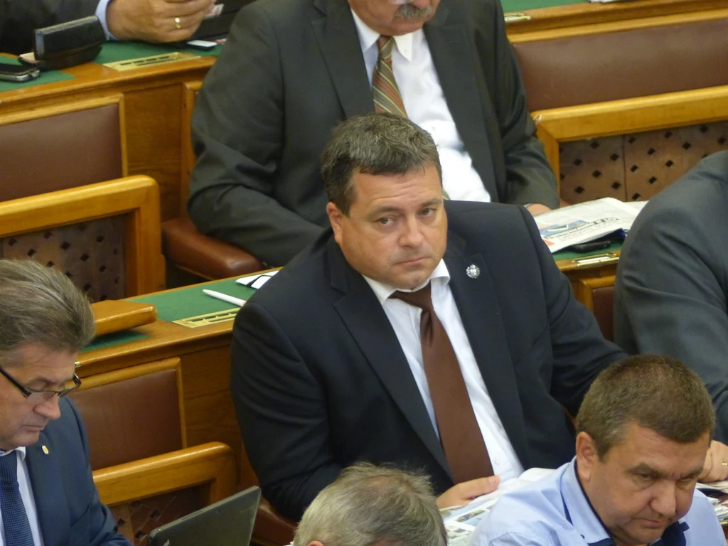 Poseł Gábor Bányai Poseł Gábor Bányai
