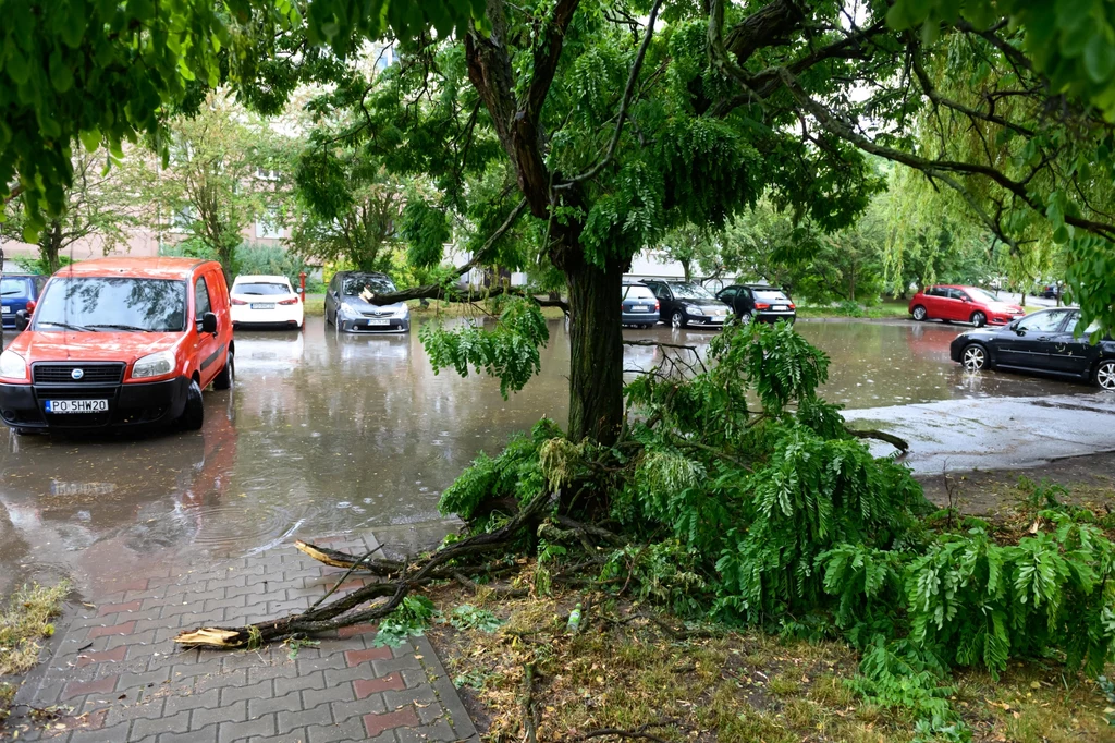 Poznań po nawałnicy Poznań po nawałnicy