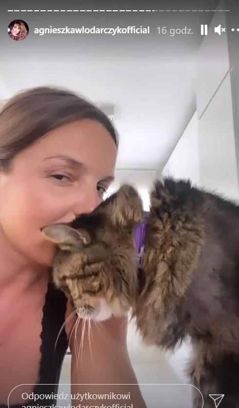 Włodarczyk skrytykowana za ostrzyżenie kota, https://www.instagram.com/agnieszkawlodarczykofficial/