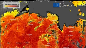 Rekordy temperatur w Arktyce. Powierzchnia rozgrzana do 48 st. Celsjusza!