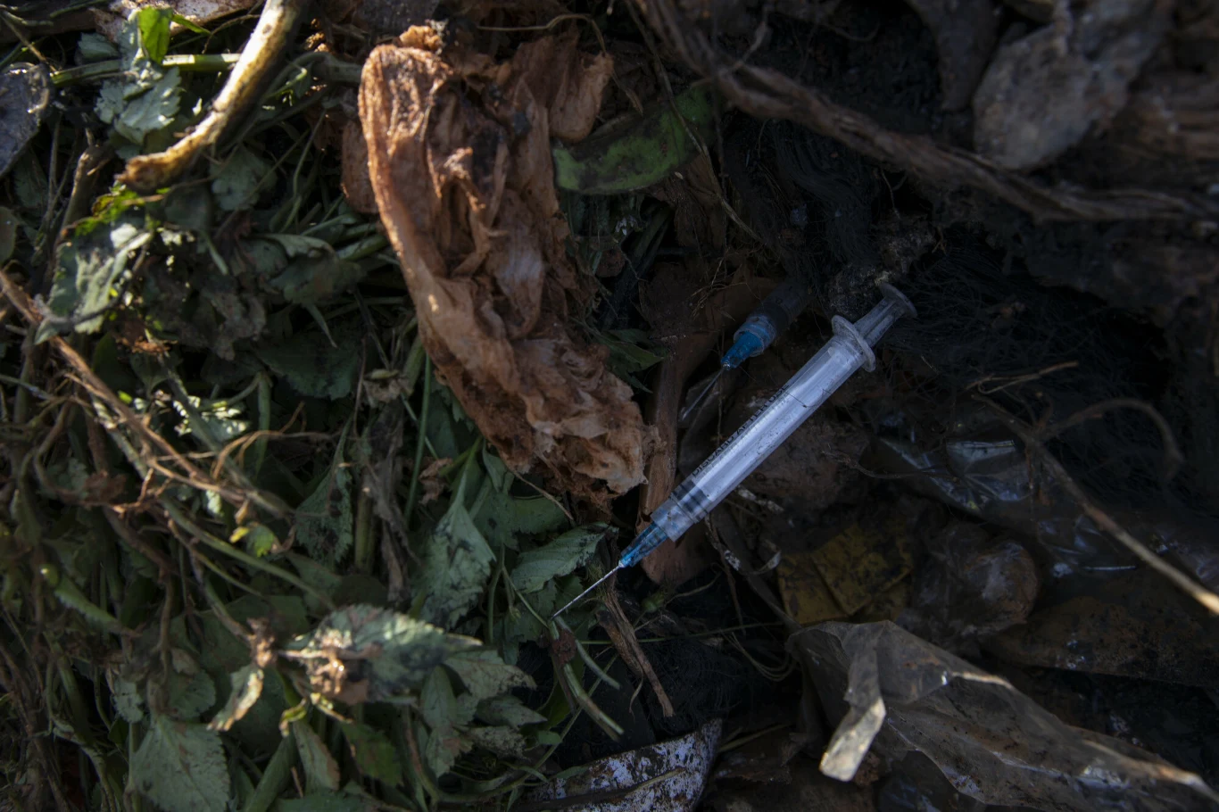 Za cały dzień pracy otrzymują równowartość 54 pensów brytyjskich, czyli niecałe trzy polskie złote.