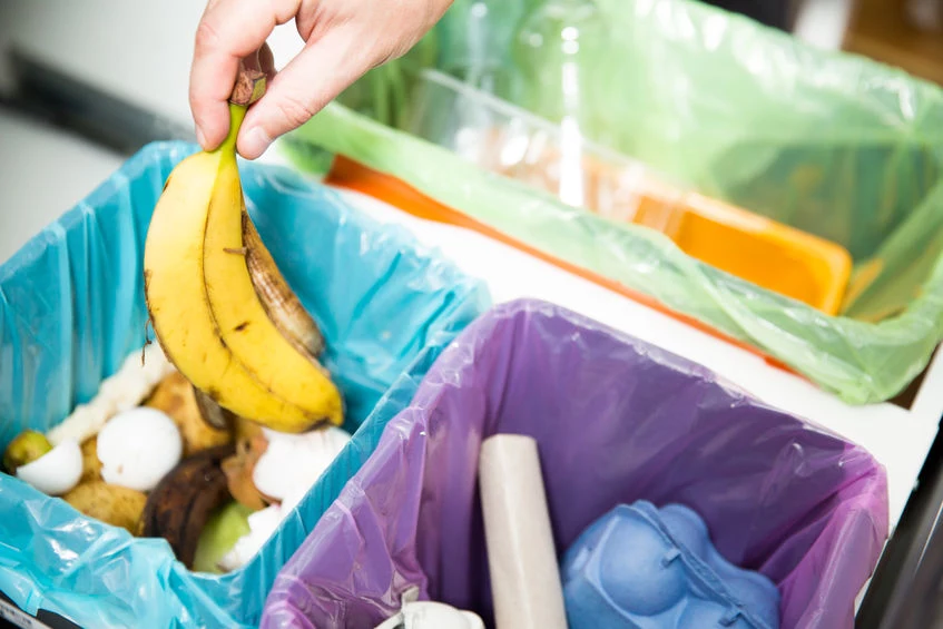 Właściwe przechowywanie śmieci pomoże uchronić się przed owocówkami