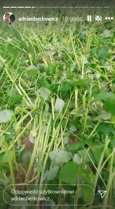 Adrian Berkowicz pokazał efekty nawałnicy i gradobicia. Widok poraża! /https://www.instagram.com/adrianberkowicz/