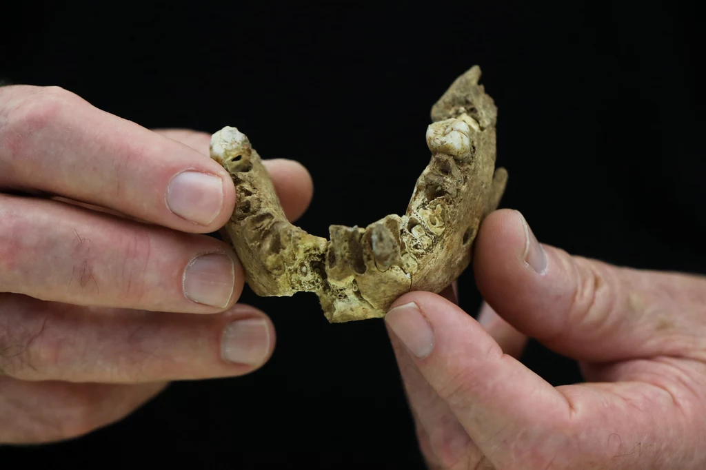 Fragment kości człowieka z Nesher Ramla 