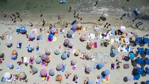 Szary śluz zagraża także greckim plażom. Władze czekają na ekspertyzy naukowców
