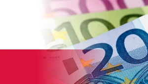 Teraz jest dobry czas na wejście Polski do strefy euro?