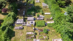 Zniszczony cmentarz w Bielsku-Białej