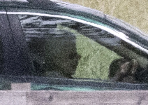 Monarchini sama prowadziła samochód Monarchini sama prowadziła samochód