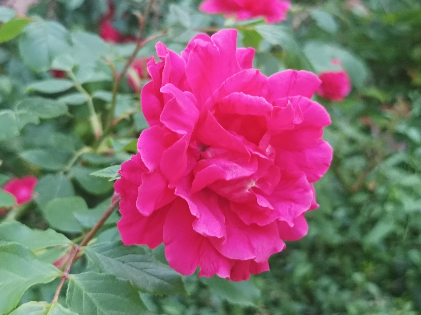 Xiaomi Poco M3 Pro 5G - zoom x2