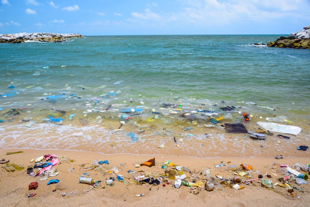 Plastikowe odpady potrafią uprzykrzyć wypoczynek na plaży niejednemu turyście