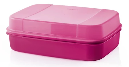 Pojemnik Tupperware