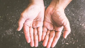 Co ósma rodzina określała się w zeszłym roku jako biedna, a co jedenasta korzystała z pomocy socjalnej