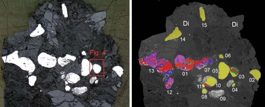 Widok ogólny próbki z basenu Hatrurim. Po lewej: polerowany przekrój pokazujący ziarna allabogdanitu i barringerytu (białe kamyczki). Po prawej: ten sam fragment ukazujący ziarna allabogdanitu (mieszane kolory) i barringerytu (żółty).