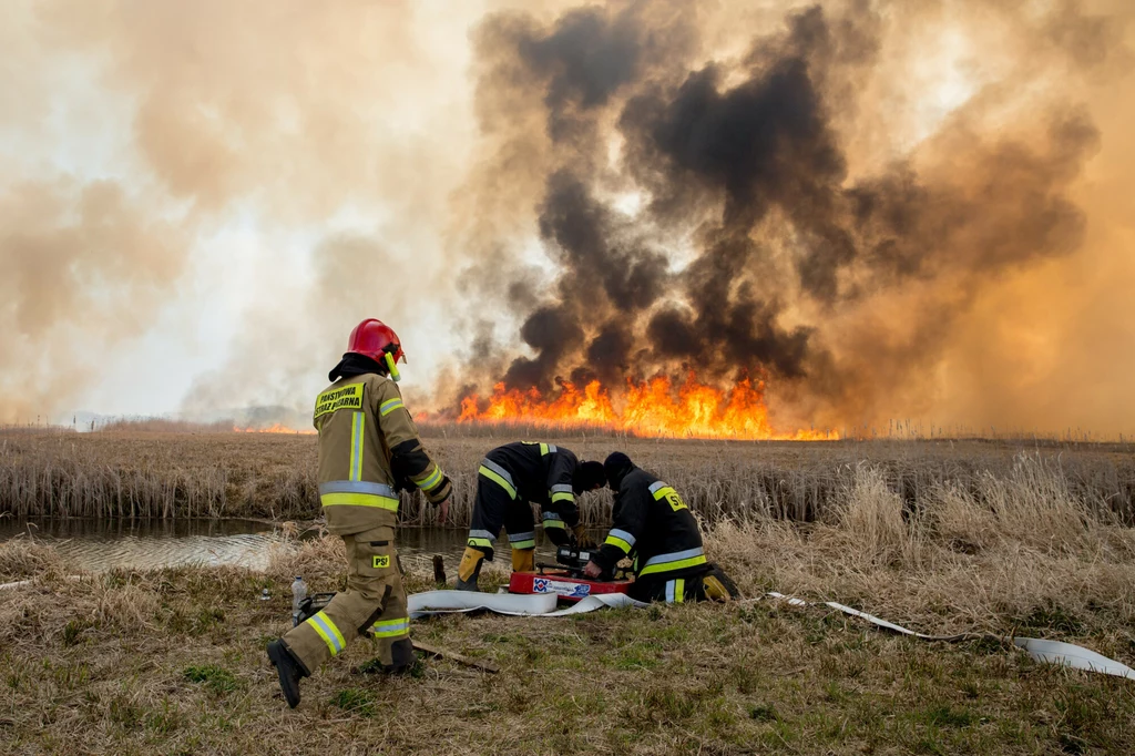 Pożar suchych traw w Biebrzańskim Parku Narodowym.