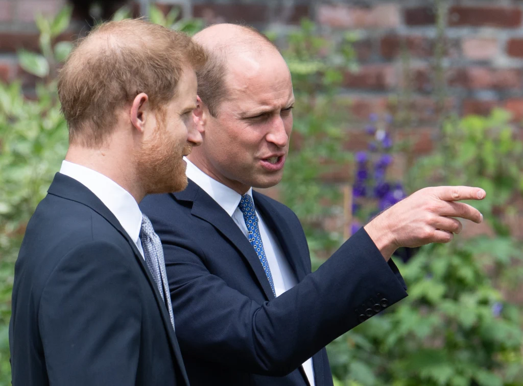 Harry i William Harry i William