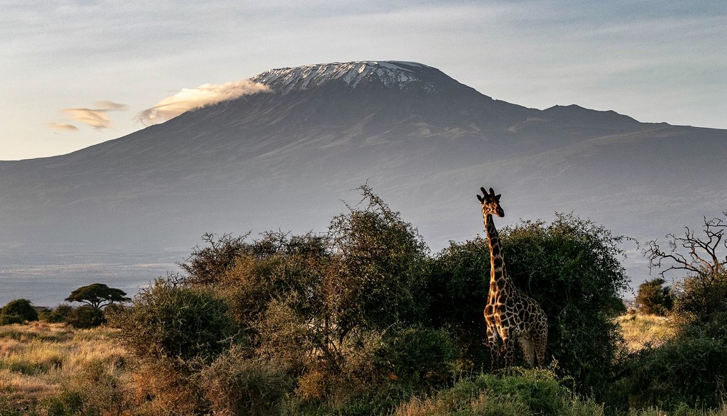 Góra Kilimandżaro, Tanzania. 