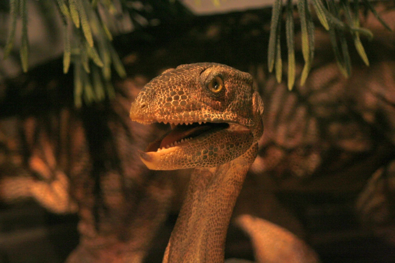 Silezaurus znów podbił internet. Chodzi o odkrycie, którego dokonano... w jego odchodach Silezaurus znów podbił internet. Chodzi o odkrycie, którego dokonano... w jego odchodach