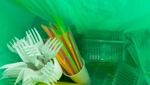 Opóźnienie w implementacji „dyrektywy plastikowej” do jesieni 