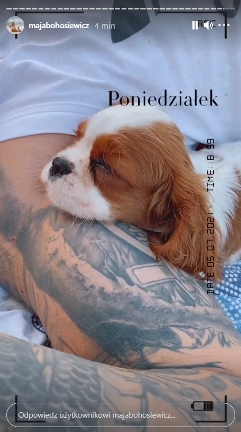 Nowy członek rodziny Mai Bohosiewicz, https://www.instagram.com/majabohosiewicz/ Nowy członek rodziny Mai Bohosiewicz, https://www.instagram.com/majabohosiewicz/