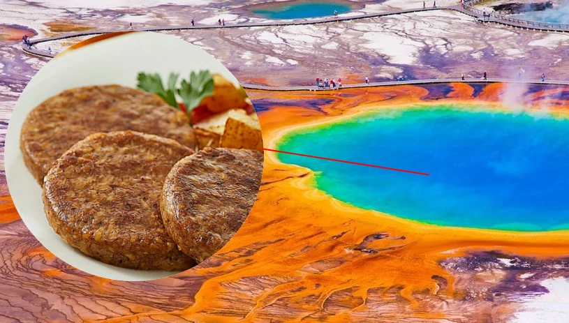 Gorące źródła Yellowstone kryją drobnoustroje przydatne do produkcji bezmięsnego jedzenia 