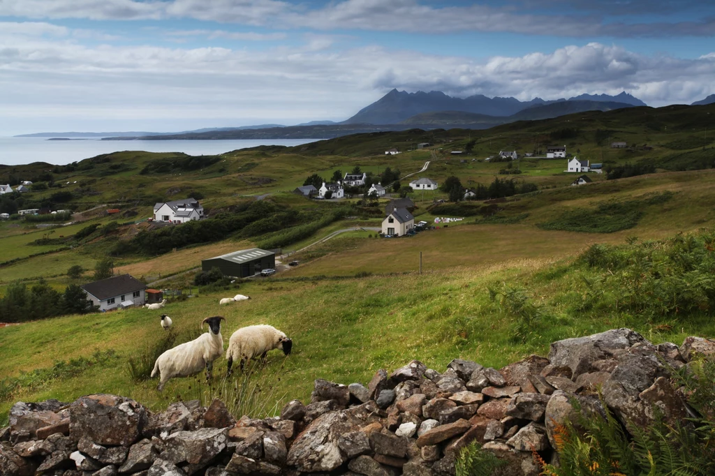 Owce i rozrzucone zabudowania wiejskie to typowy krajobraz Isle of Skye