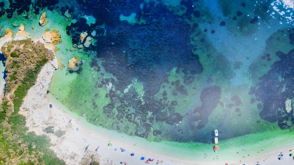 Na Elbie spotkamy zarówno piaszczyste, jak i kamieniste plaże