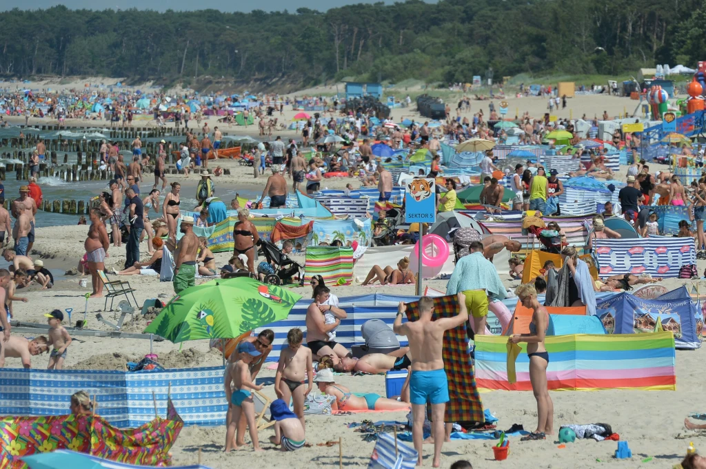 W te wakacje sinice na pewno jeszcze nie raz dadzą o sobie znać W te wakacje sinice na pewno jeszcze nie raz dadzą o sobie znać