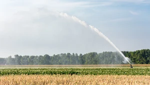 Hiszpańscy rolnicy nawadniają pola wodą z recyklingu 
