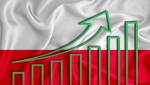 Reguła wydatkowa działa niczym strażnik finansów publicznych 

