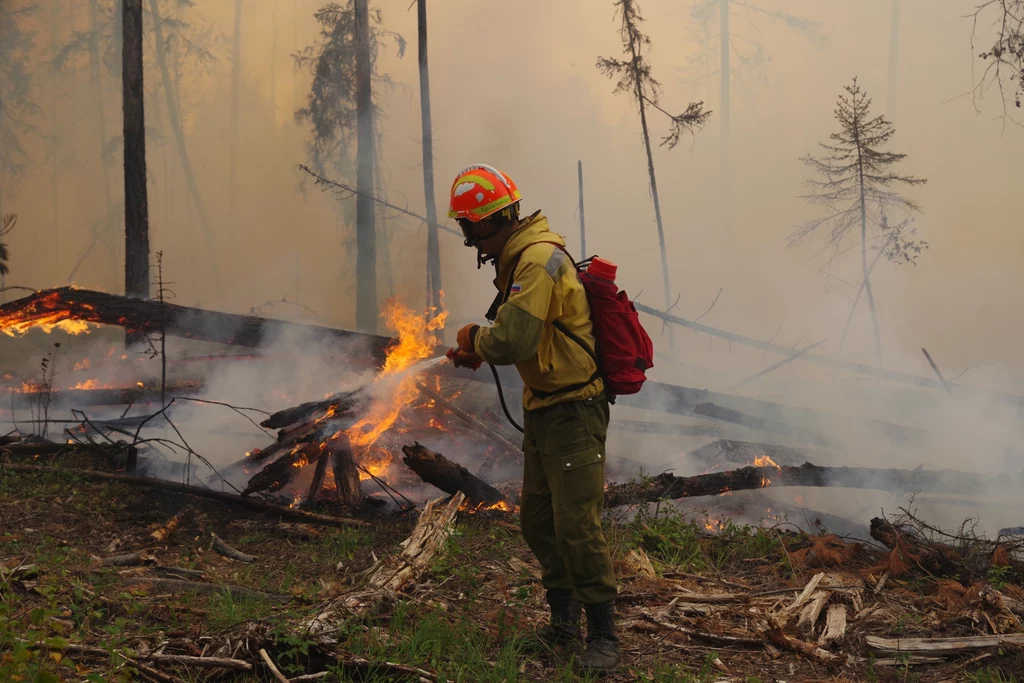Pożary na Syberii obejmują ponad 600 tys. hektarów lasów