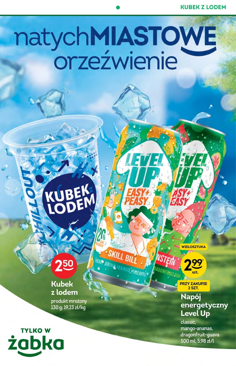 leaflet page preview image