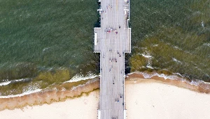 Sinice w Bałtyku, zdjęcie ilustracyjne