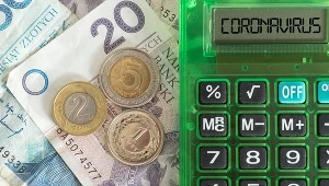 Pomoc publiczna do weryfikacji poprzez formularz 