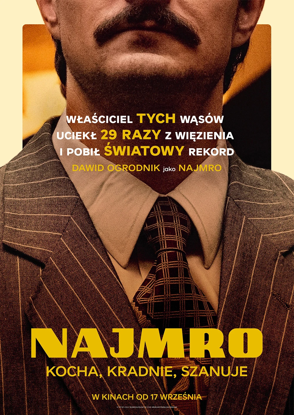 Dawid Ogrodnik na plakacie filmu "Najmro. Kocha, kradnie, szanuje"