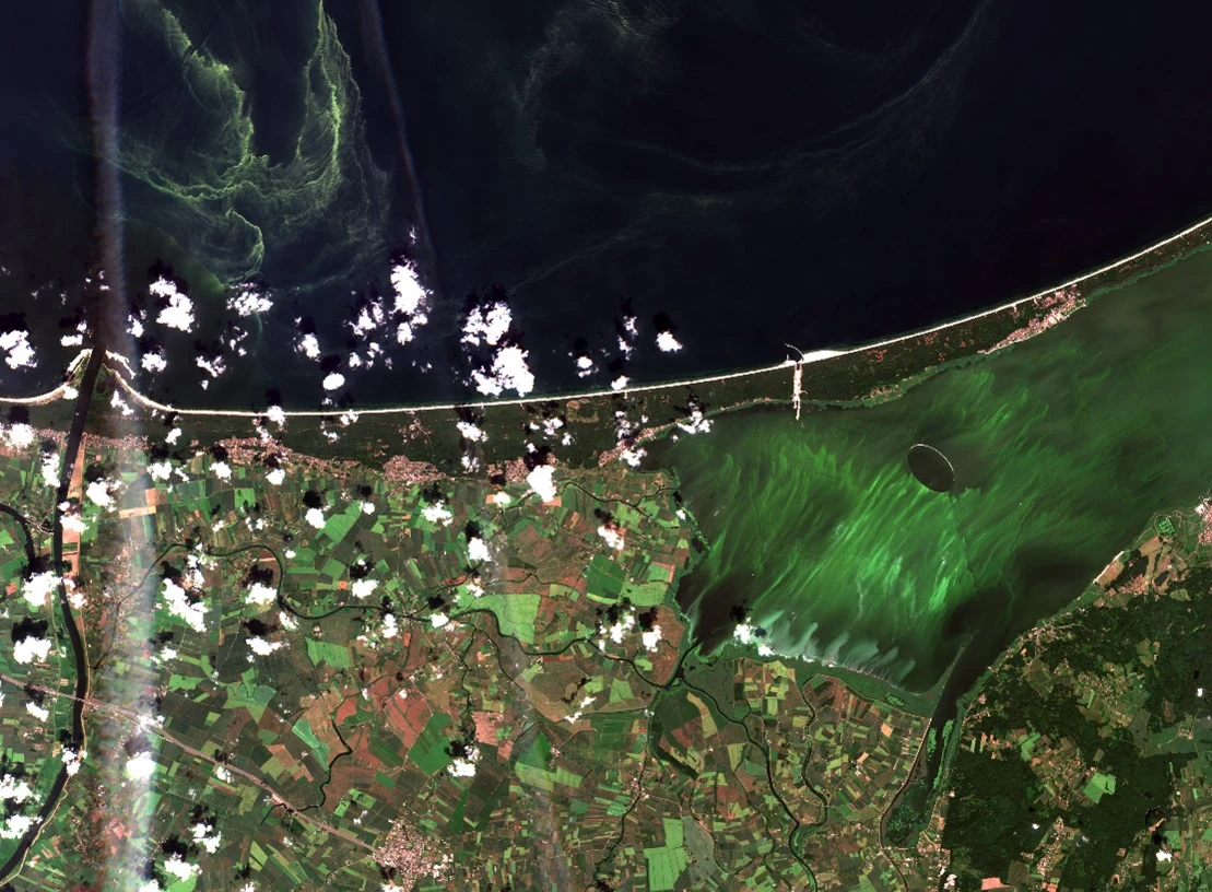 Zatoka Wiślana, czerwiec 2021 r. Zatoka Wiślana, czerwiec 2021 r.