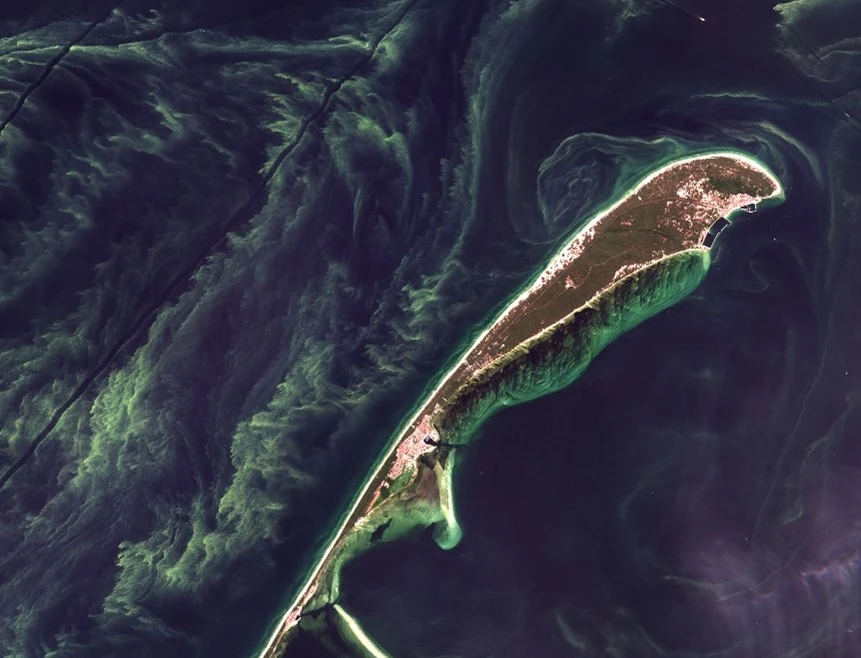 Półwysep Helski, czerwiec 2021 r. Półwysep Helski, czerwiec 2021 r.