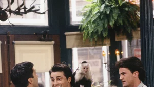 Serialowy Marcel lubił wszystkich oprócz... Davida Schwimmera