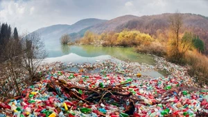 Śmiertelne konsekwencje zanieczyszczeń. Plastik, metal, szkło - co jeszcze zaśmieca wody?
