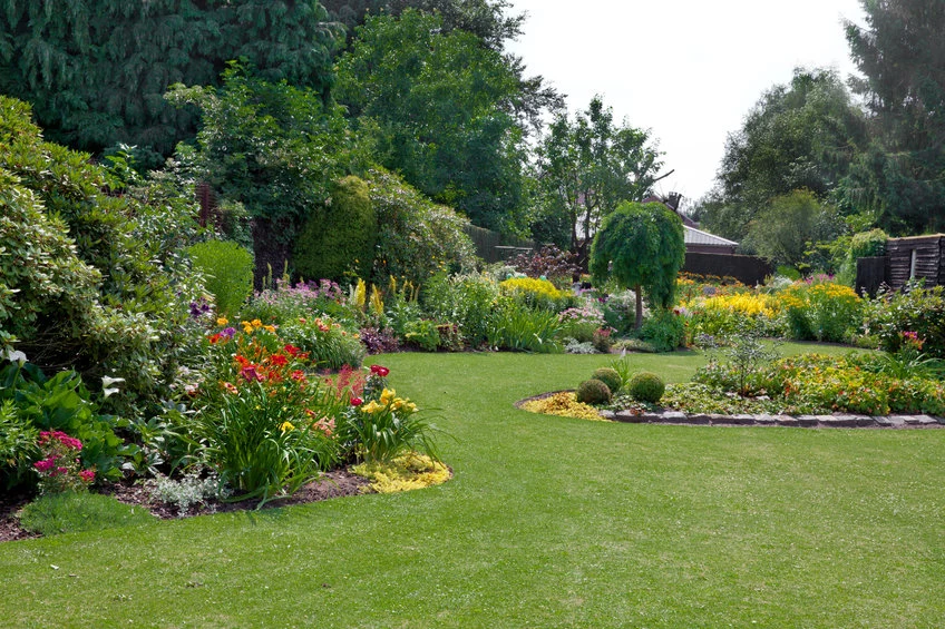 Jak dbać o trawnik i piękny ogród?