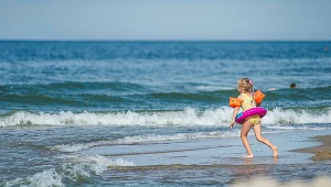 W wodach Bałtyku występują mięsożerne bakterie 