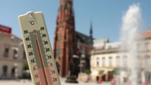 Upały zabijają 5 milionów ludzi rocznie. Winne są zmiany klimatu