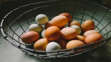 GIS ostrzega przed zakupem jajek od znanego producenta
