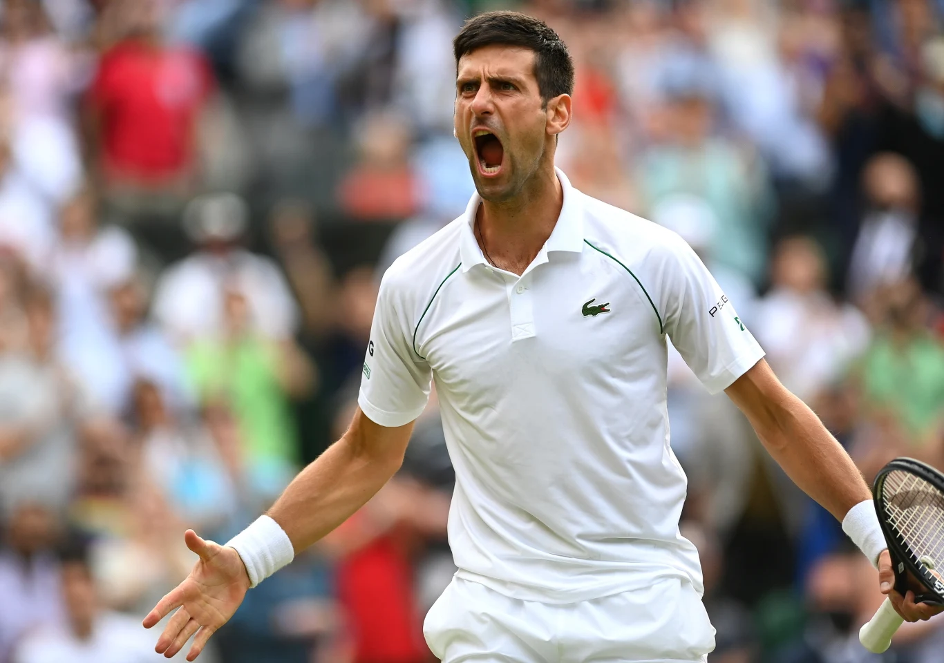 Novak Djoković Novak Djoković