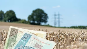Rolnicy dostaną zaliczki dopłat bezpośrednich. Kiedy ruszą wypłaty?