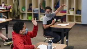 zdjęcie ilustracyjne