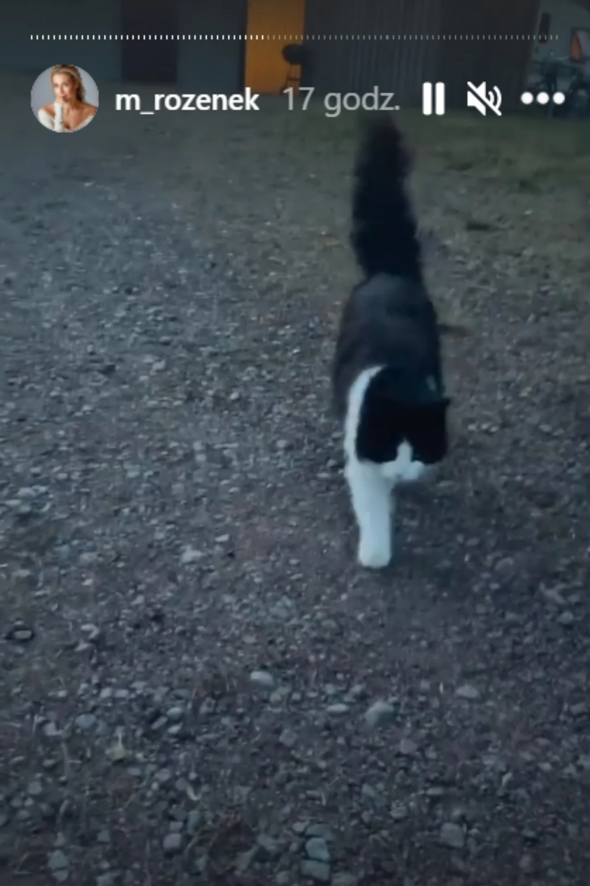 Majdanowie w Szwecji, fot. https://www.instagram.com/m_rozenek/ Majdanowie w Szwecji, fot. https://www.instagram.com/m_rozenek/