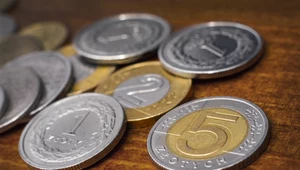 Słabe perspektywy złotego wobec euro i dolara
