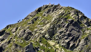 Skrajny Granat/Zdj. ilustracyjne